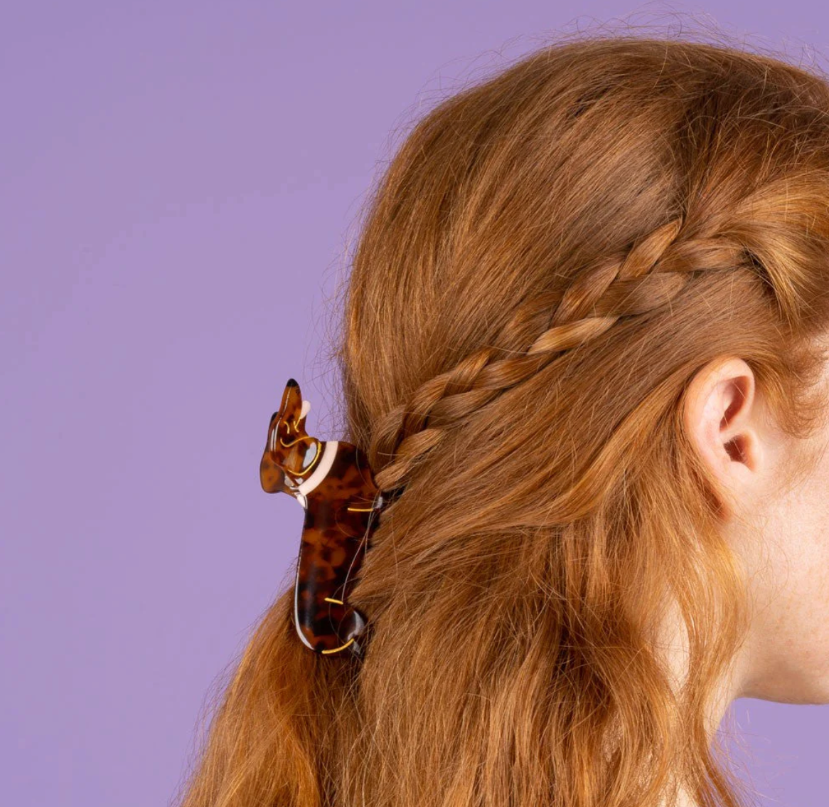 DACHSHUND HAIR CLAW