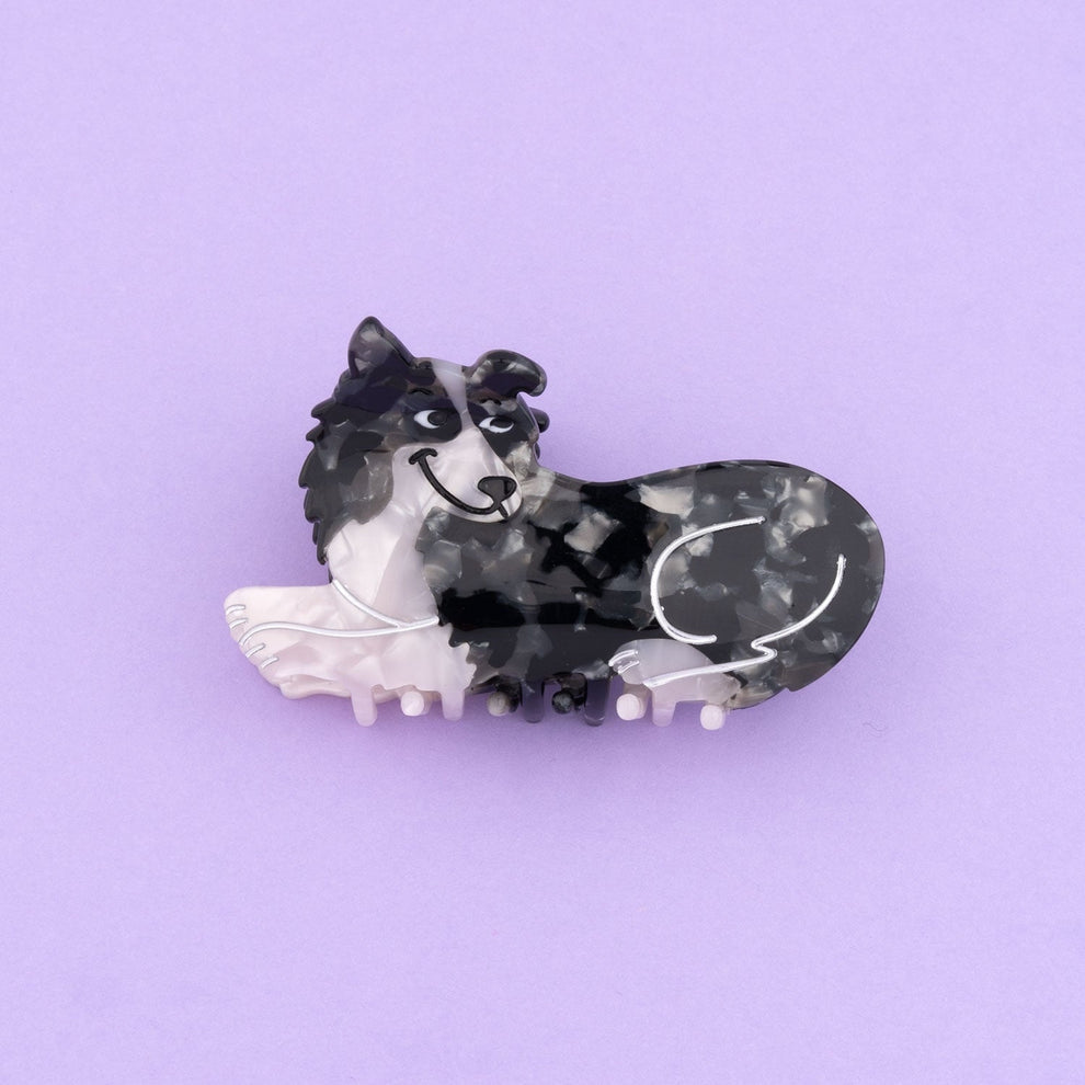 BORDER COLLIE HAIR CLAW