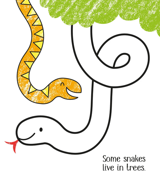 Little Brian - First Colouring Zoo Animals