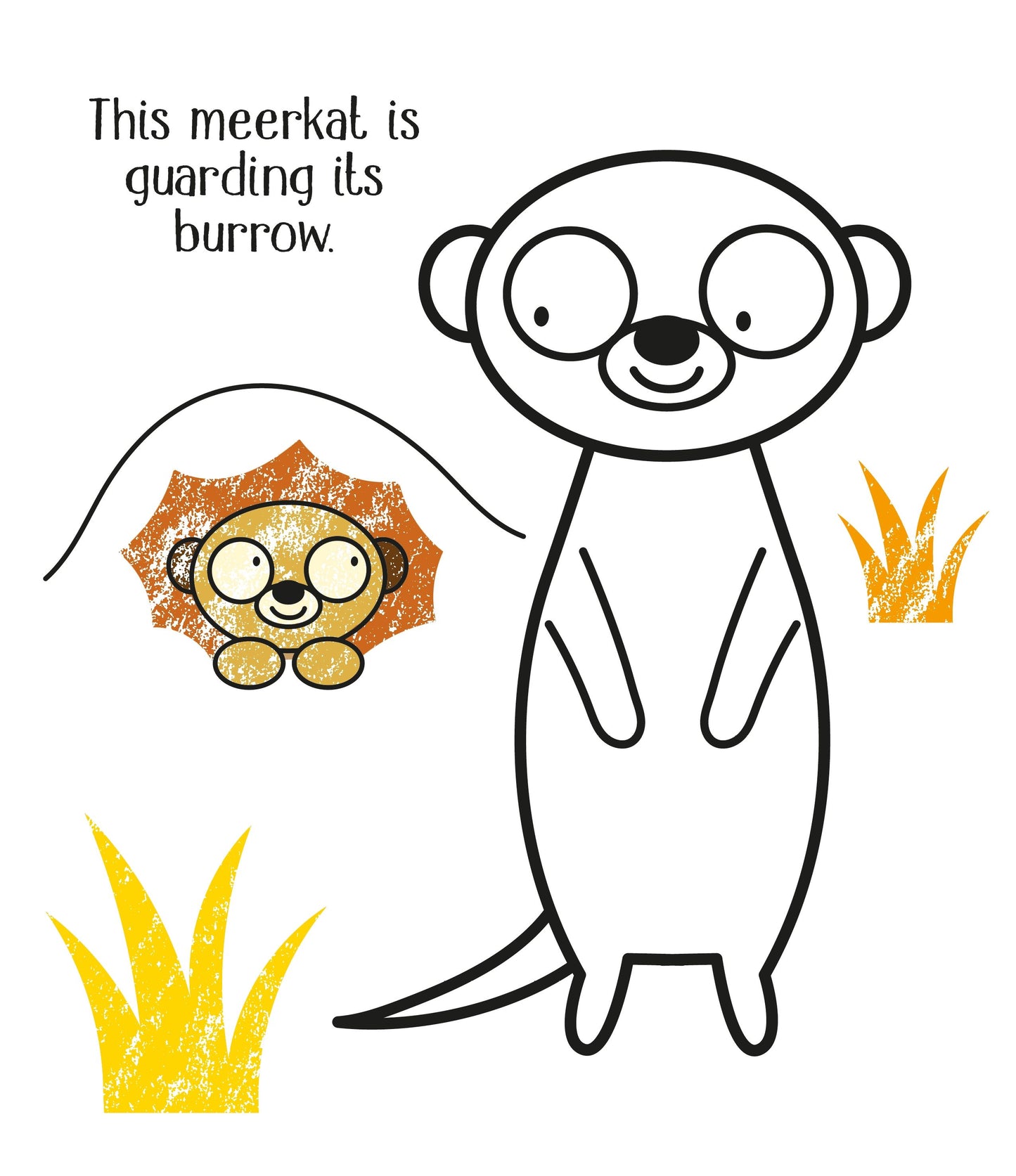 Little Brian - First Colouring Zoo Animals