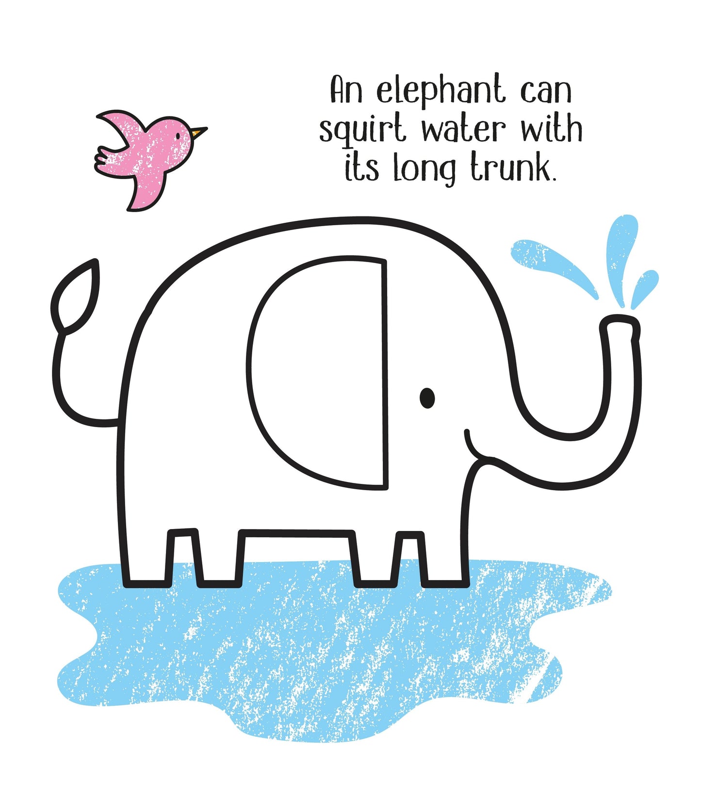Little Brian - First Colouring Zoo Animals