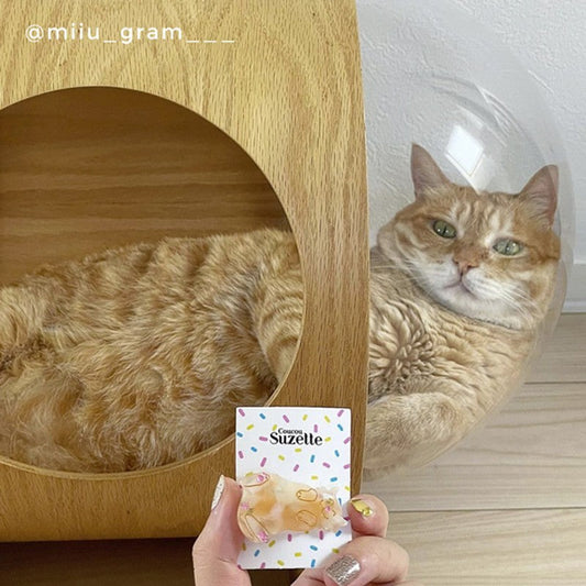 GINGER CAT HAIR CLIP