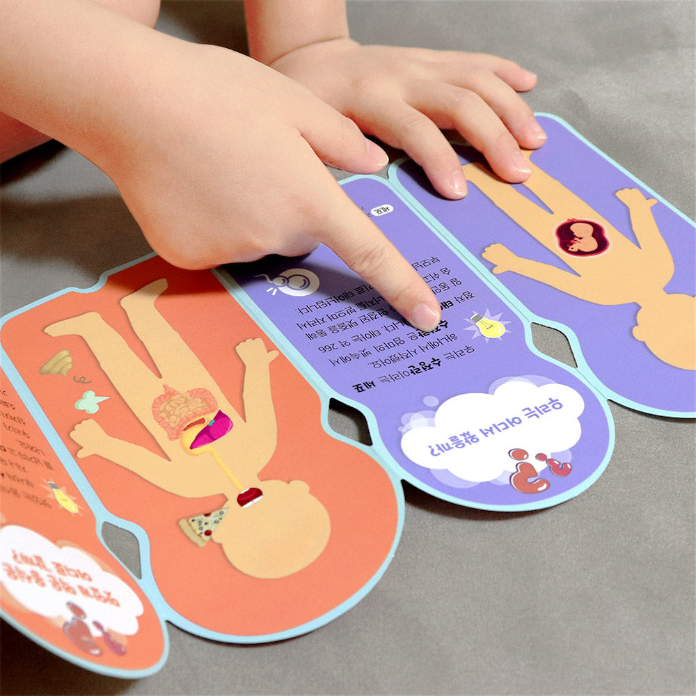 Ariati 磁性遊戲板-人體認知