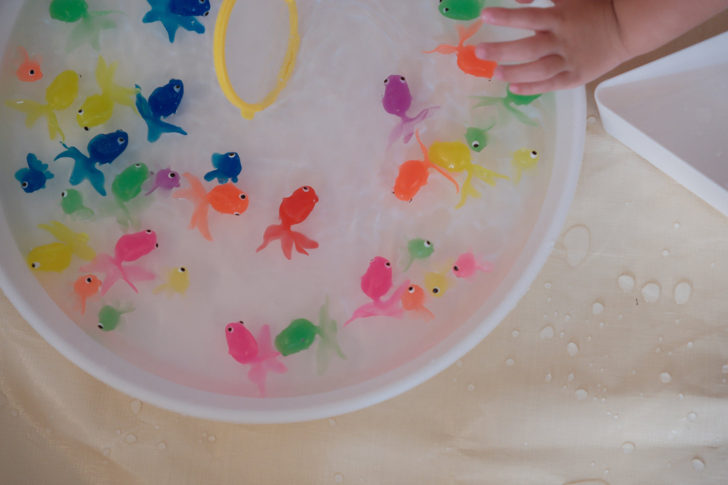 Messy play - 彩色慶典金魚組
