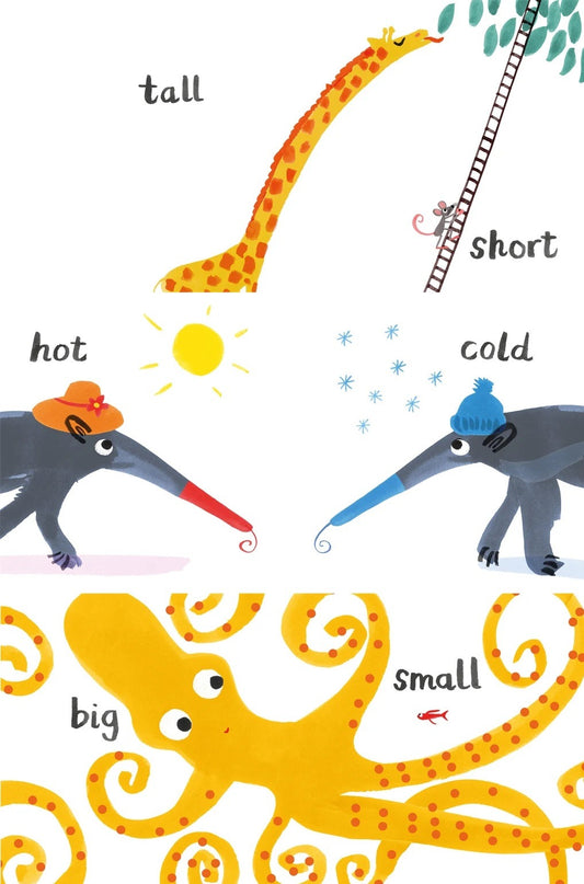 Little Brian - Let's Look at... Opposites 一起玩對比