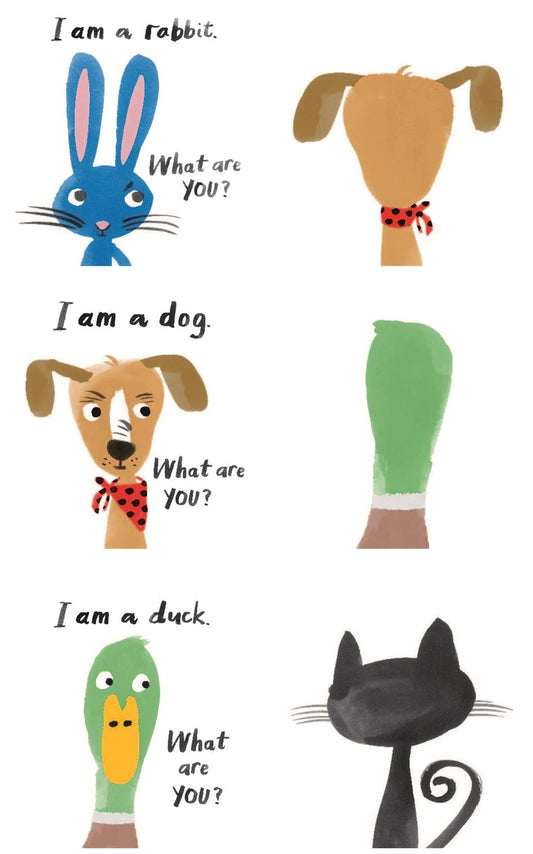 Little Brian - L et's Look at... Animals 一起看動物