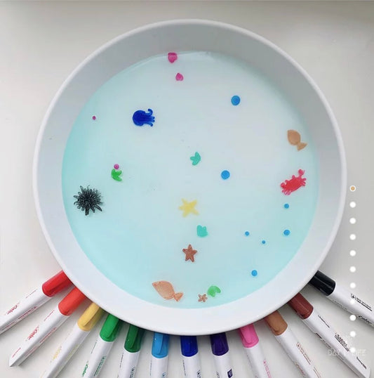 Messy play - 韓國LINEPLUS好寫無異味工學握把安全12色白板筆