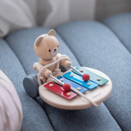Pull-Along Musical Bear (48)