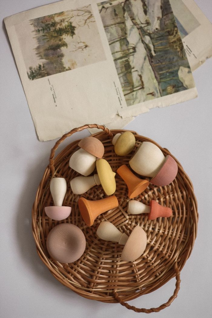 FOR OUR BABY - Mushroom set -森林蘑菇