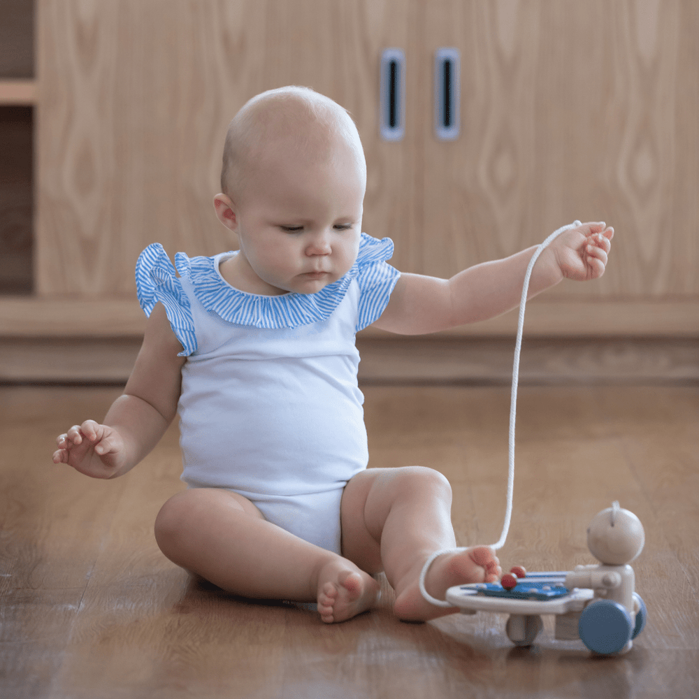 Pull-Along Musical Bear (48)