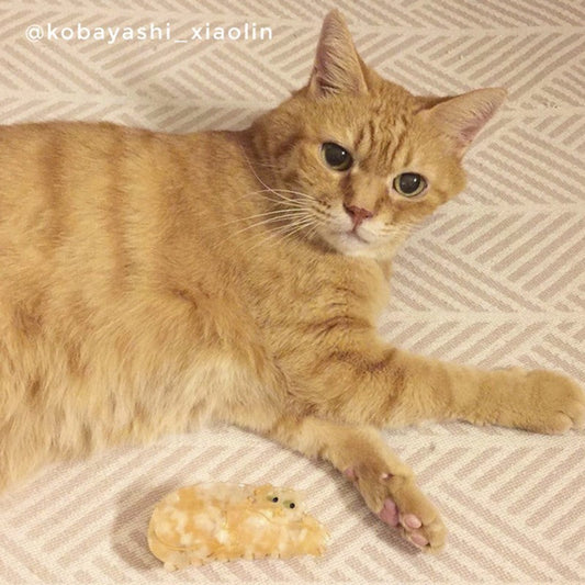GINGER CAT HAIR CLAW