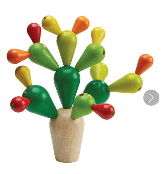 Balancing Cactus (50)