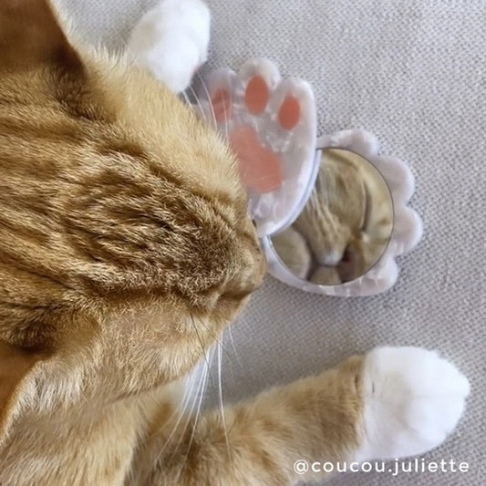 CAT PAW MIRROR