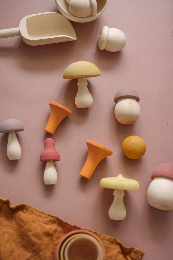 FOR OUR BABY - Mushroom set -森林蘑菇